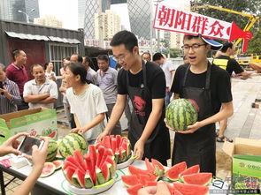 朝阳免费吃瓜网,揭秘都市生活趣味圈，畅享免费美食盛宴  第2张