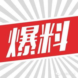 廉江头条最新爆料,最新爆料事件深度解析 第3张 廉江头条最新爆料,最新爆料事件深度解析 第3张
